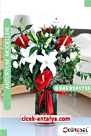 Antoryum Çiçekçi Modeli Ant03 Antoryum