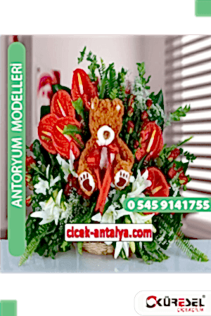 Antoryum Çiçekçi Modeli Ant04 Antoryum