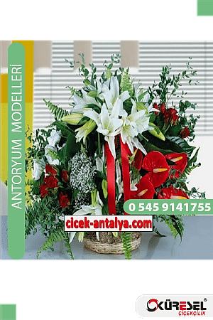 Antoryum Çiçek Modeli Antalya Ant01 Antoryum
