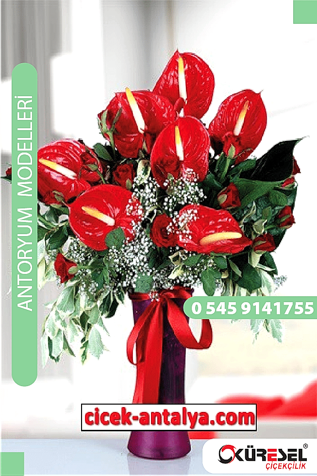 Antoryum Çiçek Modeli Antalya Ant01 Antoryum