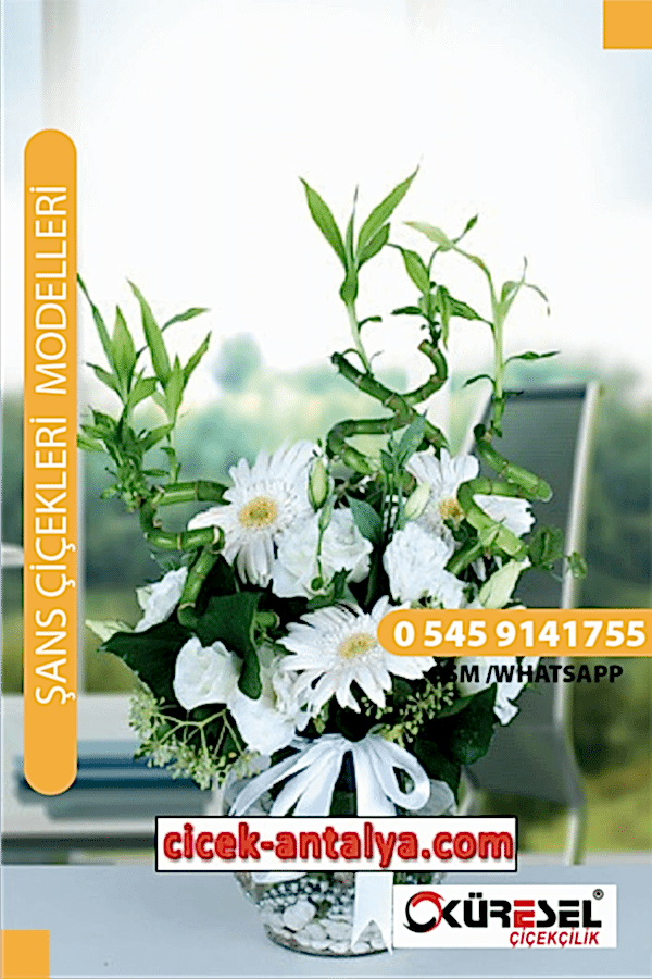 GERBERA VE ŞANS GETİREN BAMBULAR ÜRÜN KODU SC03 Şans Çiçekleri