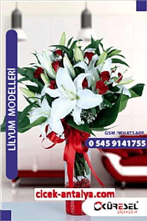 Lilyum Çiçek Sipariş Model L04 Lilyum antalya lilyum fiyatı