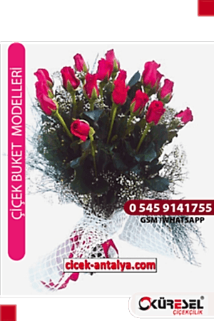 ÖZELSİN 17 KIRMIZI GÜL ÜRÜN KODU BK04 Çiçek Buketi