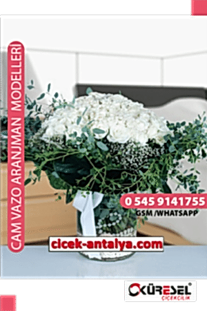 100 BEYAZ GÜL ÜRÜN KODU CV44 Cam Vazolu Çiçek Aranjman