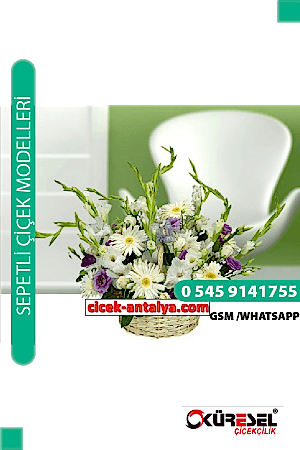BAHARIN HABERCİSİ MEVSİM ÇİÇEKLERİ ÜRÜN KODU SPA2 Çiçek Sepet Aranjman