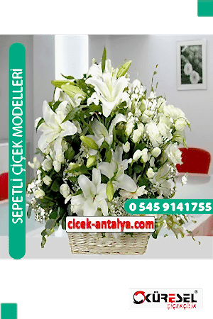 BEYAZ RÜYA ÜRÜN KODU SPA05 Çiçek Sepet Aranjman